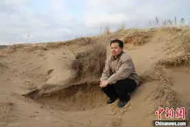 林业专家吴德东用三十五载见证“荒漠变绿洲”图片
