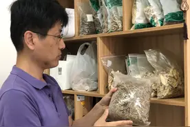 全球连线｜韩国留学生朴容硕：为在中国当一名中医大夫而努力图片