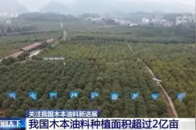 确保国家粮油安全 我国木本油料种植面积超过2亿亩图片