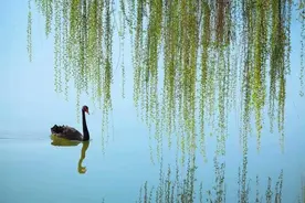 怀念姥姥（回忆录）图片