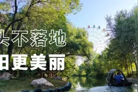 免费兑换游乐体验券！洛阳这8个公园传来好消息...图片