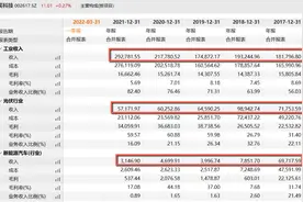 财说 | 百亿第三代半导体项目进展缓慢，露笑科技股价接近腰斩图片