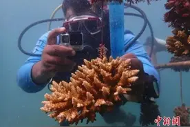 老有人被罚！过海关前，一定检查有没有带这些图片