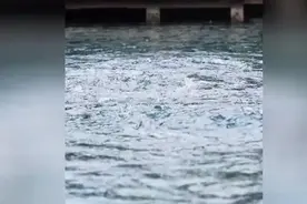 “趵突腾空”盛景重现！三股泉眼肆意喷涌 各地游客前来观赏留念图片