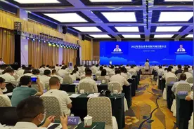 总投资728亿元 乐山推出103个乡村振兴项目图片