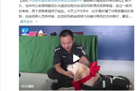 功勋犬退役被领养训导员哭成孩子 挣脱牵引绳奔回训导员身边图片