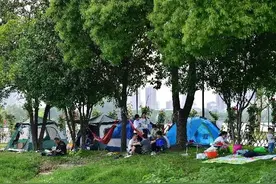 是风口还是泡沫？“全民露营热”下，露营地生意遇冷图片