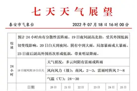 闪电气象吧丨泰安将迎大到暴雨 部分地区大暴雨图片