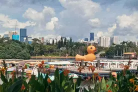 夜读｜如何改变不甘于现状又不思进取的状态？图片