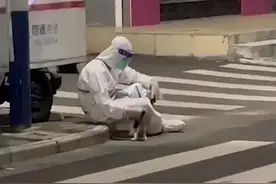 画面太治愈！大白路边休息小猫爬怀里图片