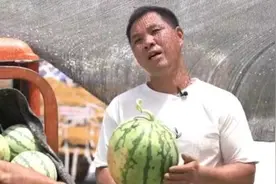 视评来了丨职业“验瓜师”  验证了啥？图片