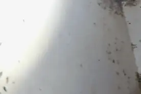 珠海老人捡废品堆满房间蟑螂成灾，物业：打扫了两天，回家吃不下饭图片