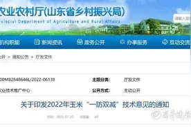 山东2022版玉米“一防双减”技术意见：大喇叭口期农药这样喷图片