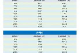 一图速览四川各市州养老保险缴费档次图片