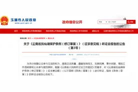 抚仙湖究竟能不能游泳？官方开了个听证会……图片