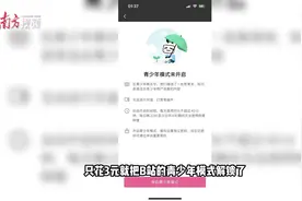 3元就能“小孩变大人”，B站青少年模式秒“破防”|起底防沉迷黑灰产③图片