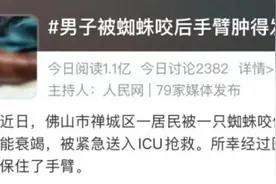 被蜘蛛咬伤竟致多脏器功能衰竭！遇到类似情况的正确做法图片
