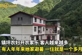 视频丨镇坪农妇开农家乐 有人年年来长住避暑图片