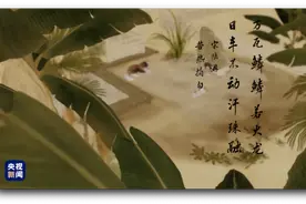 人间好时节丨大暑图片