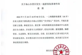 揪心！10岁儿童景区高空坠落，后续→图片