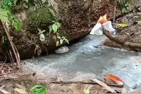 重庆一村庄溪水冒泡能点燃，当地回应图片