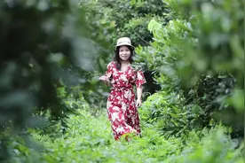 “绿色银行”夏威夷果开到湛江图片