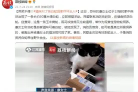 哭笑不得！猫咪叼了条白蛇回家吓坏主人图片