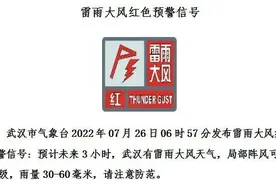 雷电大风红色预警！武汉这些地区阵风达12级图片