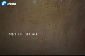 泪目！主人去世后，忠犬在家门口守了2年！终于去陪主人了...图片