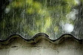 多雨之夏 须防寒湿图片