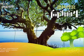 宝藏湛江，藏不住了图片