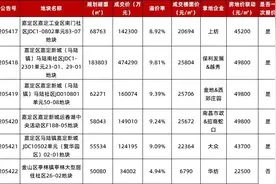 上海第二批供地次日：6宗地块收金108亿，招商、保利二度落子图片