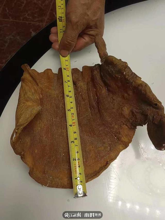 珍贵花胶图片 2026年珍贵花胶图片高清