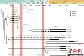 4.38亿年前长江流域啥模样？古鱼化石研究为古海洋“扬子海”图片