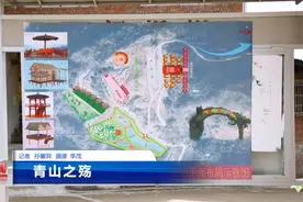 廉洁四川丨项目建设违法占用耕地 宣汉县这样追责问责图片