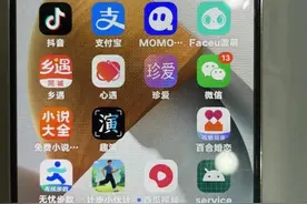 上海花甲阿姨交20位男友，第一次见面就要回家约会，途经水果店消费上千元……图片