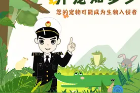 【动植物检疫】异宠知多少图片