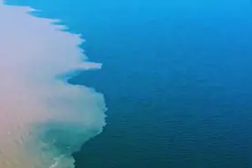 东营黄河入海口再现“黄蓝交汇”奇观图片