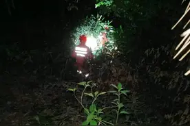 酒后想去停车场不慎跌落山坡，昨夜杭州吴山有人出事，代驾：他显示的定位在山坡下图片