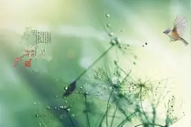 经常洗头，还是一头“油腻”？预防脱发，试试这样做图片