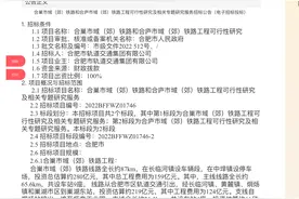 合巢、合庐市域（郊）铁路线最新消息来了图片