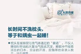 简单4招去除枕头的螨虫图片