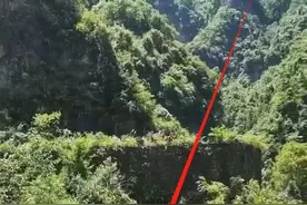 湖南张家界自行车赛一女车手跌落山崖 目击者：非常意外，令人惋惜图片