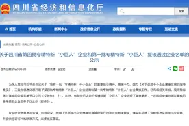 正在公示！四川这些企业入选图片
