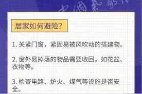 刚刚！台风“马鞍”登陆广东电白沿海图片