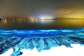荧光海，澳大利亚的“蓝眼泪”图片
