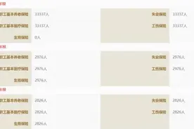 川宁生物IPO：招股书披露信息与市监局不一致 与科伦药业存在大额资金拆借图片