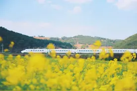 “花脸节”进行时，坐着高铁去打卡图片