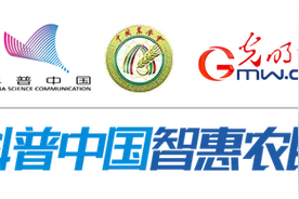 牡丹如何繁殖和养护？图片