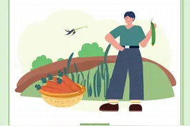 以案说法｜城里人可以到农村种地吗？图片